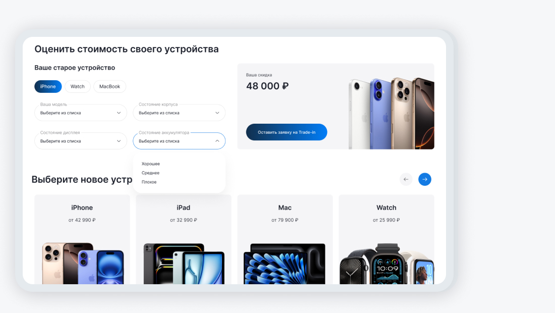 portfolio