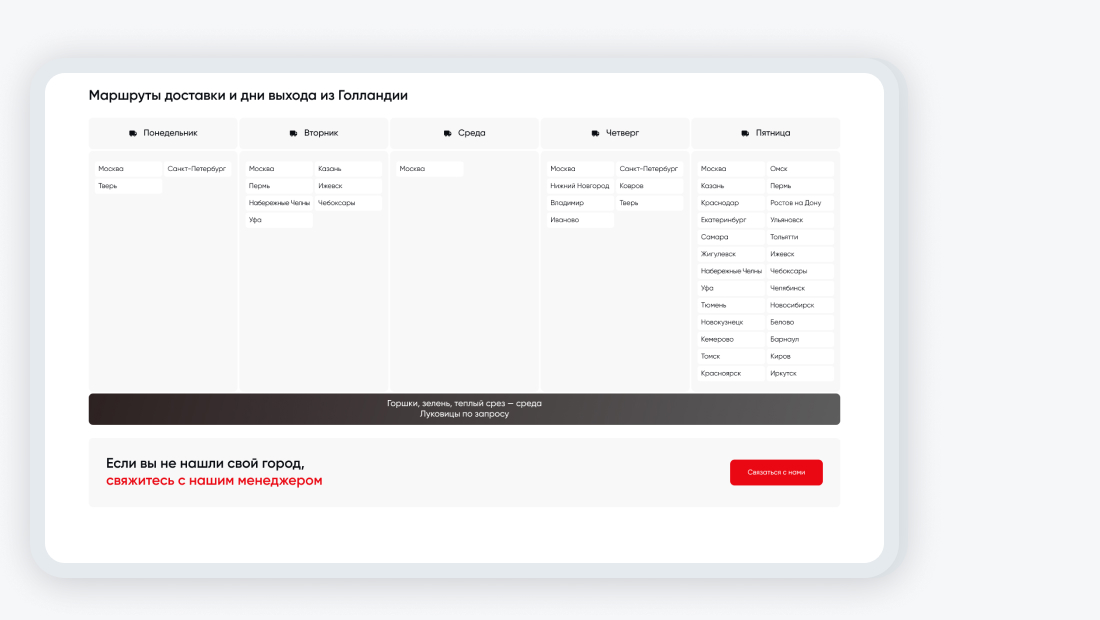 portfolio