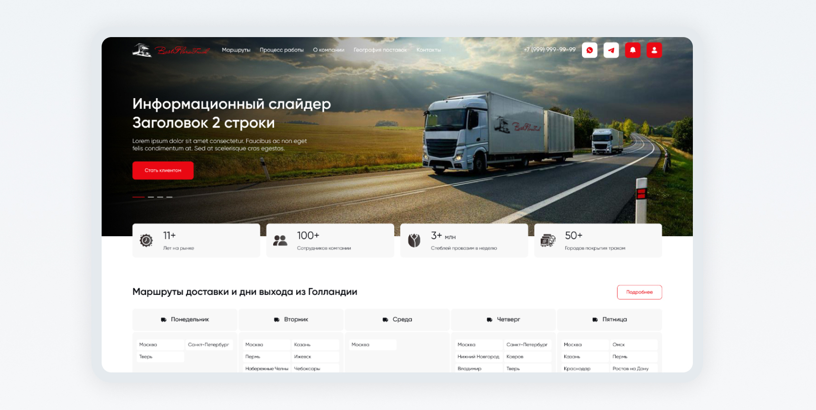 portfolio